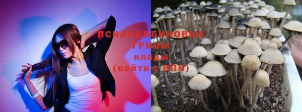 дмт Покачи