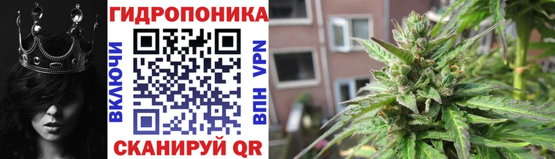 закладка  Азов  Бошки марихуана OG Kush 